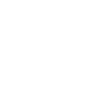 icons8-bmw-100