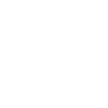 icons8-ford-100