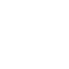 icons8-toyota-100